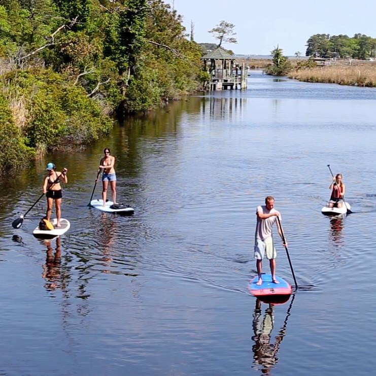 Daily Outer Banks Stand Up Paddleboard Trips Stoke Dispensary